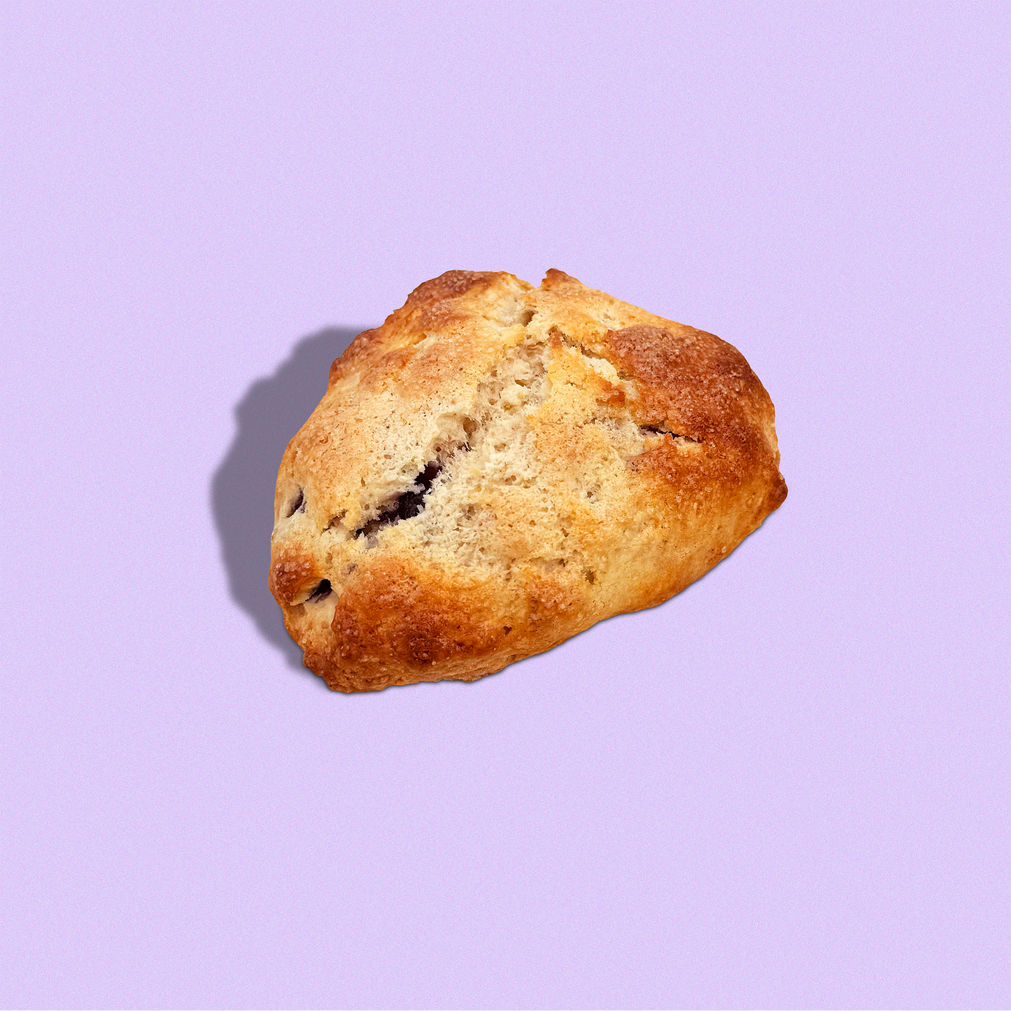 Blueberry Scone