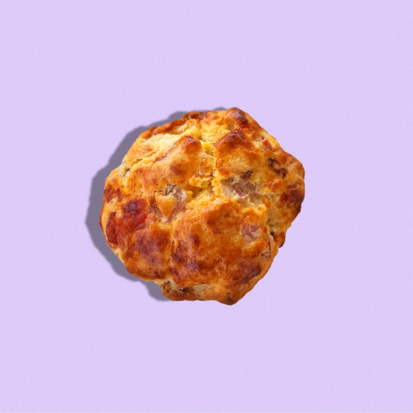 Cheddar Bacon Biscuit