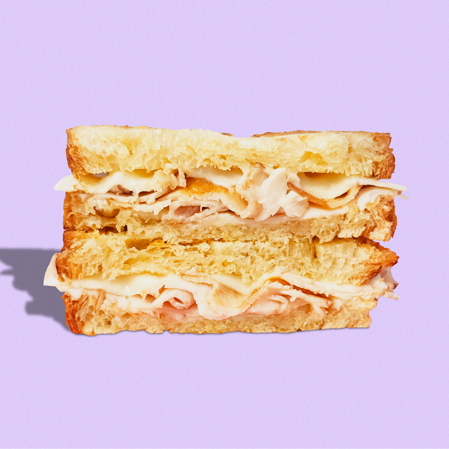 Roasted Turkey Sandwich